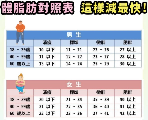 夜間減肥策略 夜間減肥策略