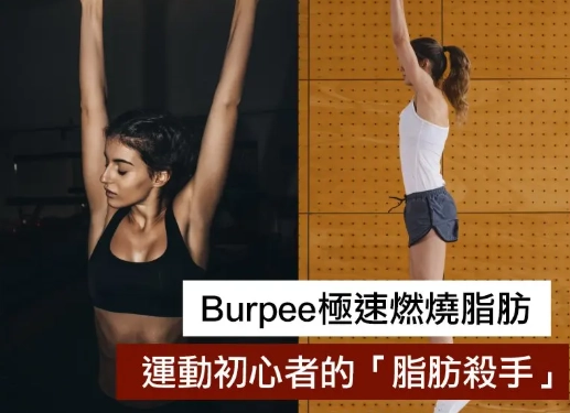 波比跳一天做多少