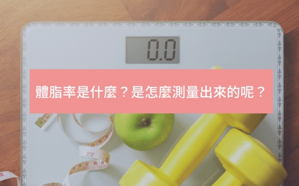 晚上體脂低原因 晚上體脂低原因