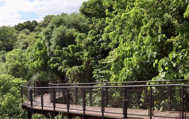 台北輕鬆步道推薦