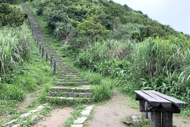 雞籠山登山 雞籠山登山
