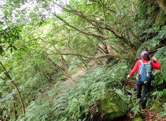 台灣小百岳推薦