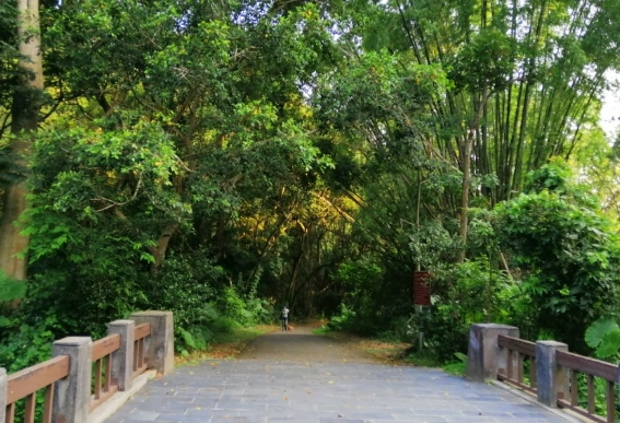 彰化登山步道 彰化登山步道
