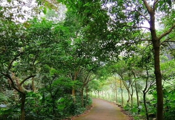 彰化登山步道 彰化登山步道