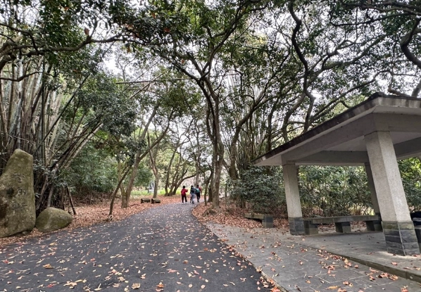 松柏嶺步道交通 松柏嶺步道交通