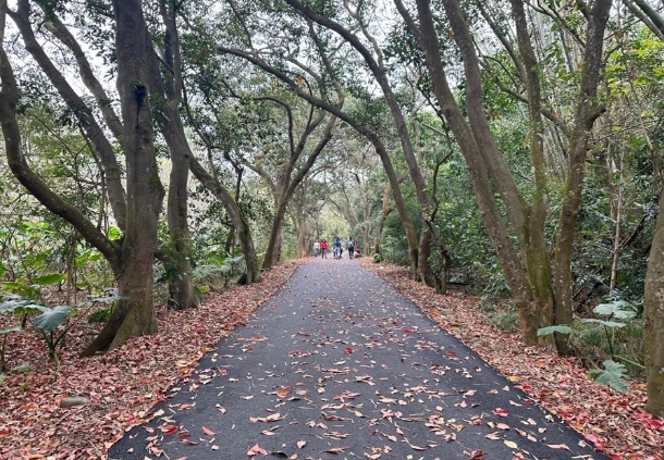 二水健行路線 二水健行路線