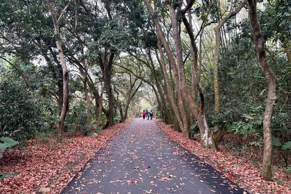 二水步道健行 二水步道健行