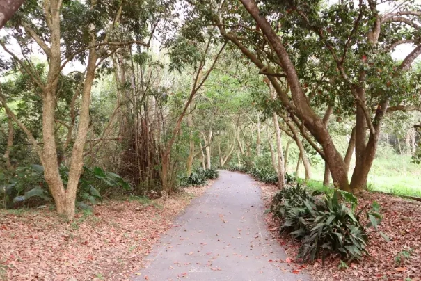 二水步道健行 二水步道健行