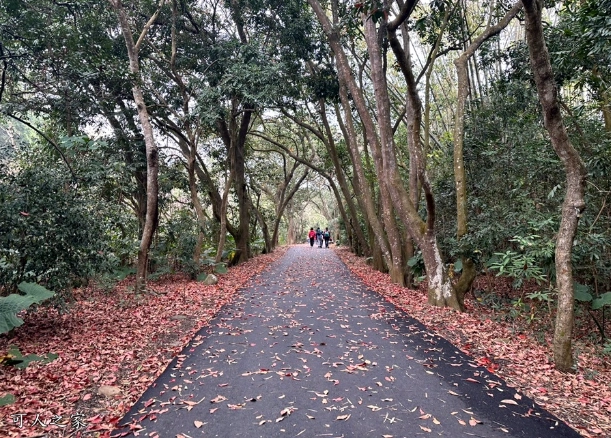 二水松柏嶺景點