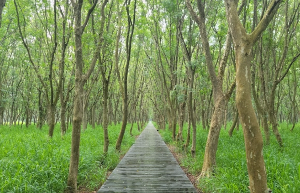 彰化爬山景點秘境