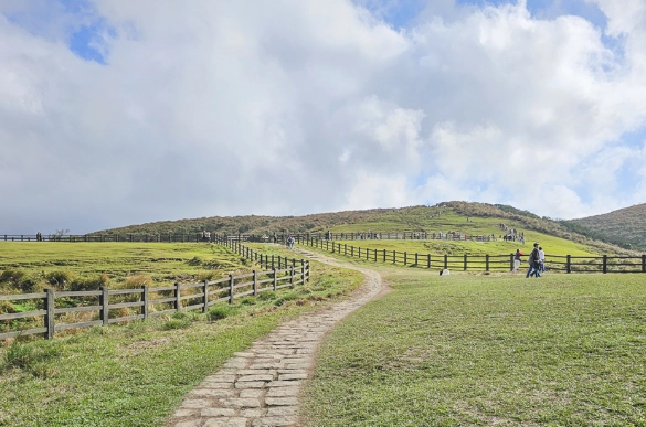 冷水坑擎天崗交通