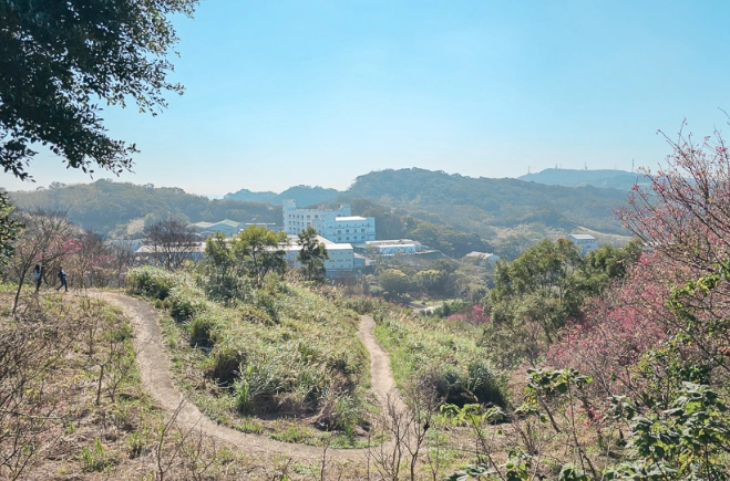 楊梅秀才步道 楊梅秀才步道
