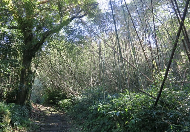 大凍山怎麼去 大凍山怎麼去