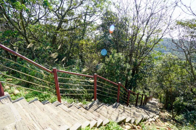 桃園楊梅爬山 桃園楊梅爬山