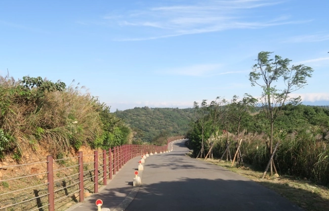楊梅登山步道 楊梅登山步道
