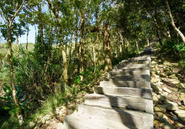 楊梅登山步道 楊梅登山步道