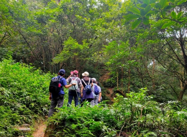 桃園楊梅爬山 桃園楊梅爬山