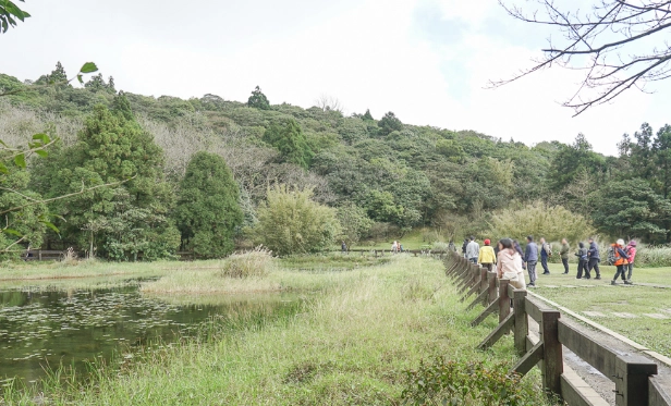 擎天崗冷水坑步道
