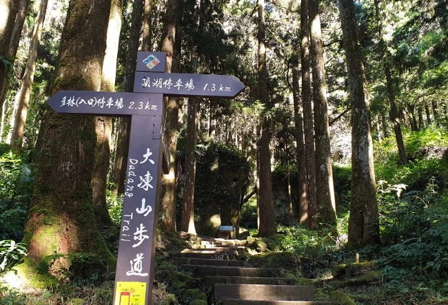 大凍山接駁車 大凍山接駁車