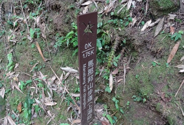上湖登山口路線