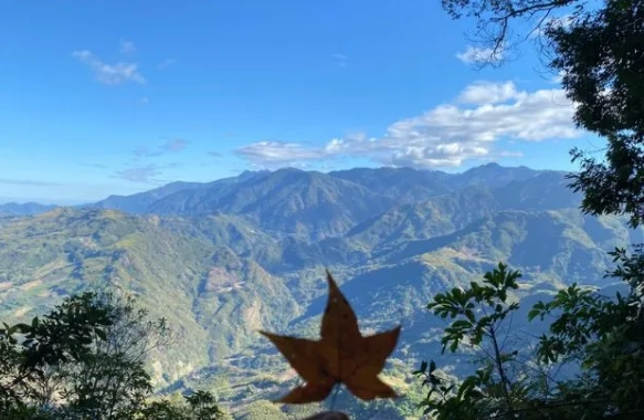馬拉邦山楓葉季節
