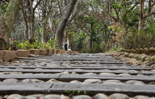 台中親子步道