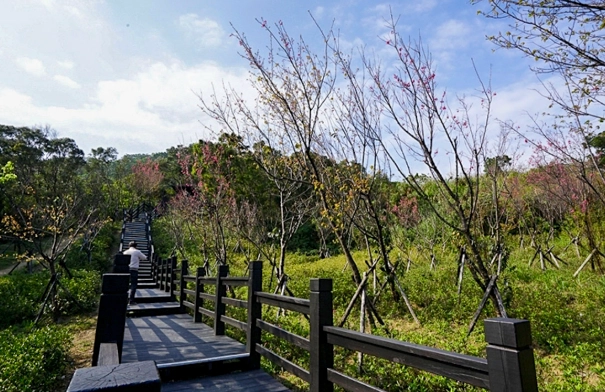 大同山登山步道 大同山登山步道