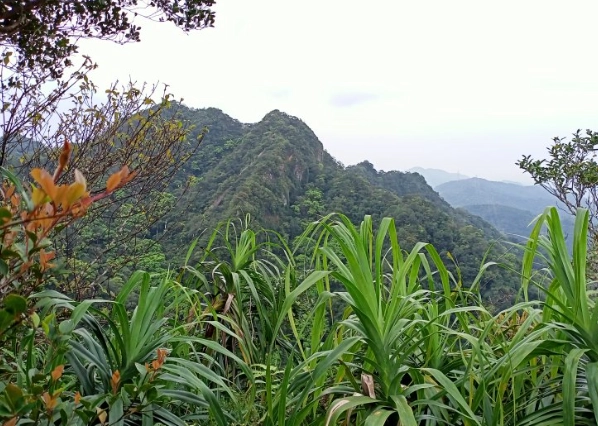 皇帝殿北峰交通 皇帝殿北峰交通