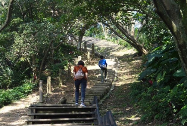 大同山登山步道 大同山登山步道