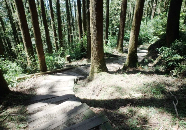 北部大凍山登山