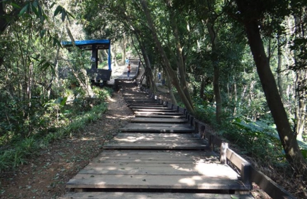 樹林健行路線 樹林健行路線