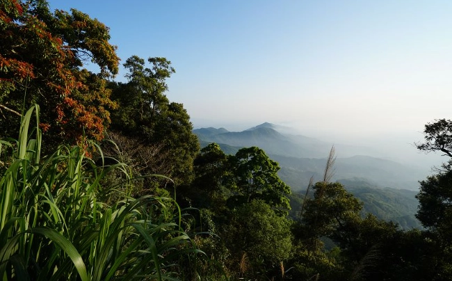 北部大凍山登山