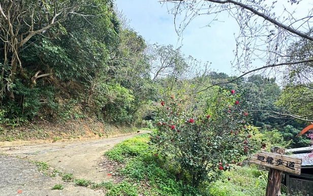 台灣登山步道推薦