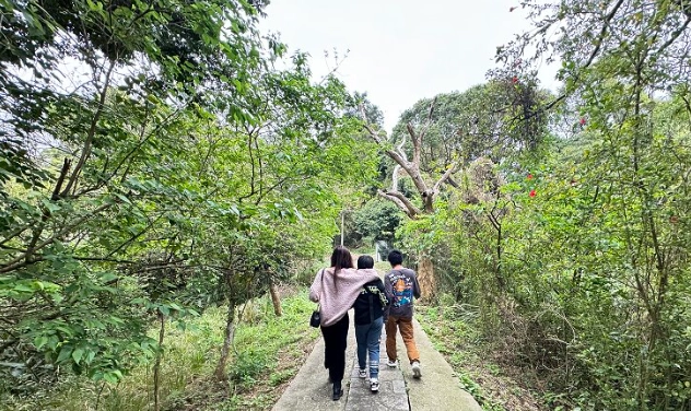 台灣登山步道推薦