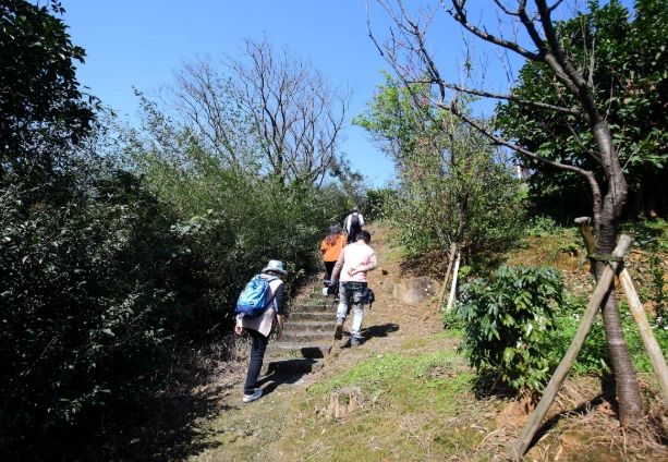 大同山健行路線