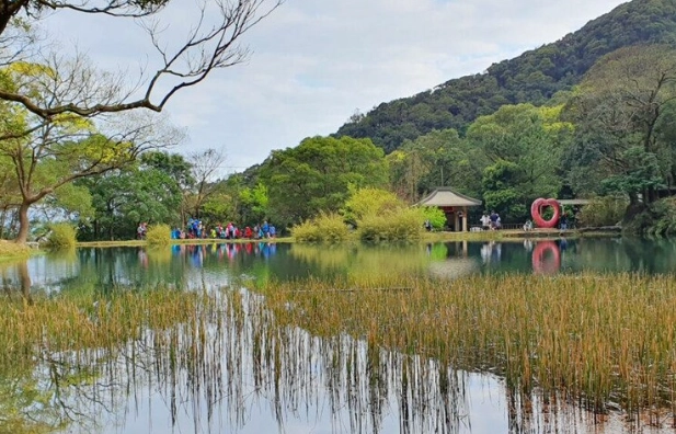 夢湖螢火蟲季節