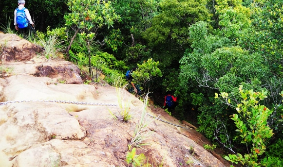 皇帝殿步道新手