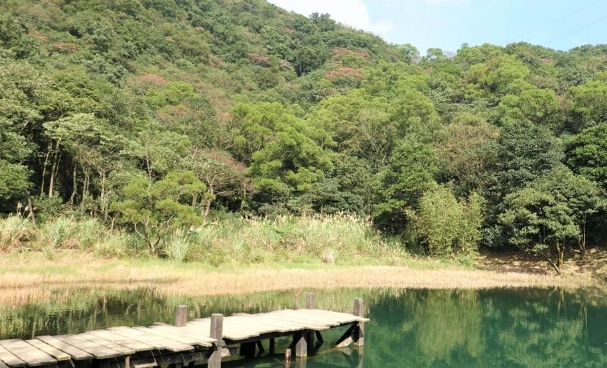 新山夢湖步道難度