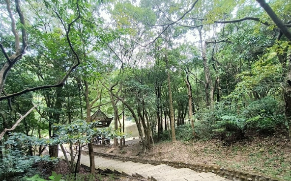 新山夢湖登山步道評論