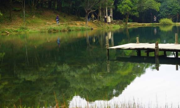 夢湖螢火蟲季節