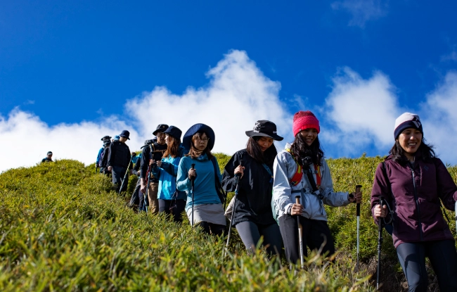 登山杖使用技巧