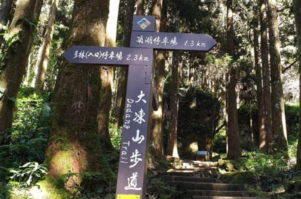 大凍山登山