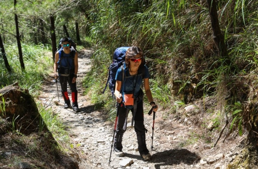 一支登山杖優點