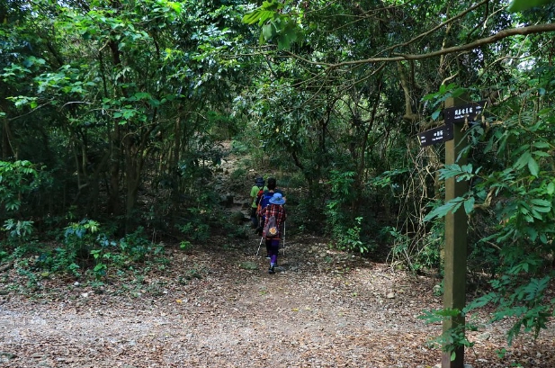 台泥登山口攻略