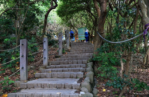 台泥登山口攻略