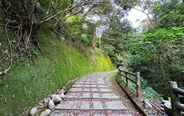 大坑1號步道交通 大坑1號步道交通