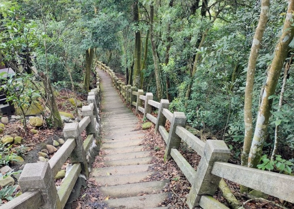 大坑五號步道公車