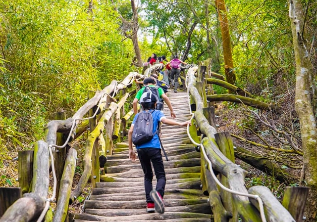 大坑步道攻略 大坑步道攻略