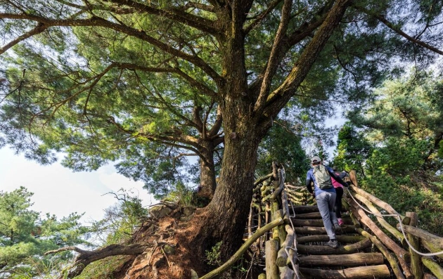 台中登山步道推薦