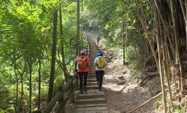 龜山區登山路線